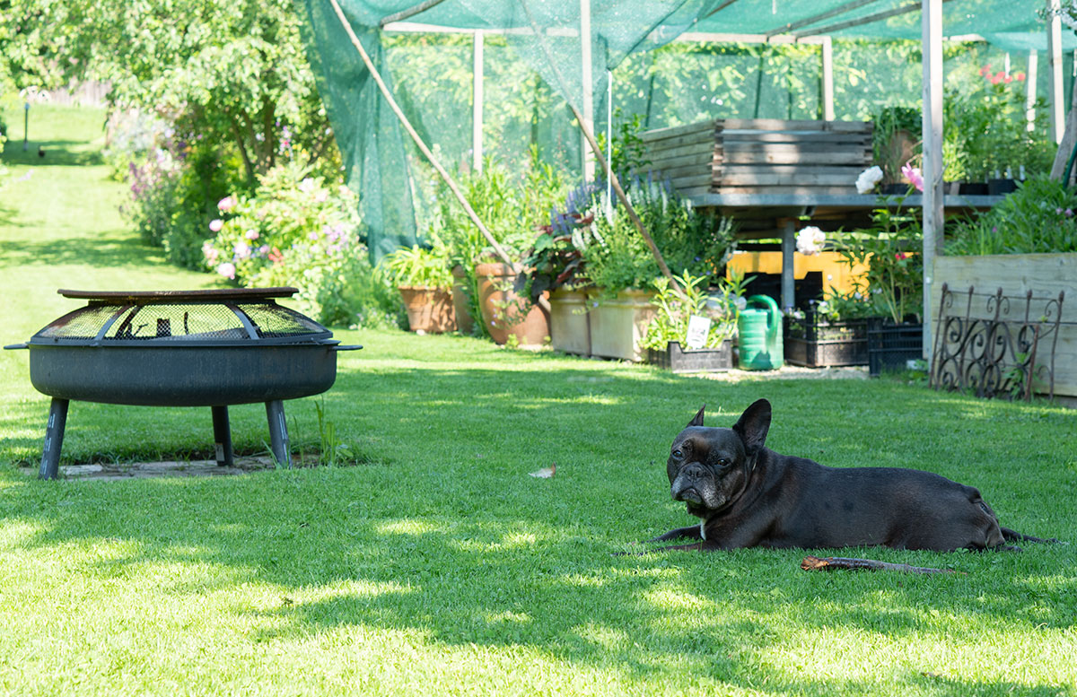 Parks-und-Gärten-in-Niederösterreich-und-Südmähren-lilli-hund-bauerngarten parbus