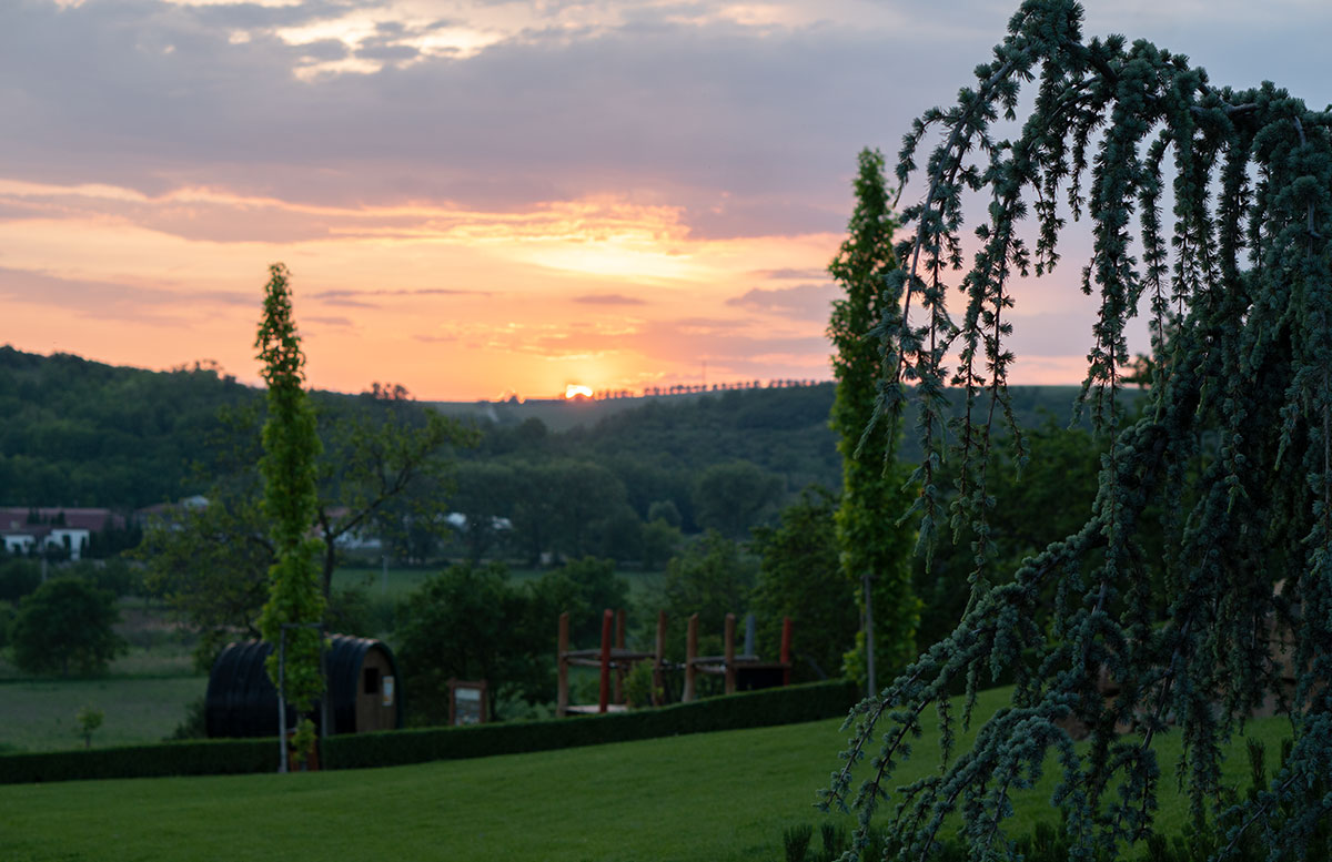Parks-und-Gärten-in-Niederösterreich-und-Südmähren-pension-andre-sonnenuntergang