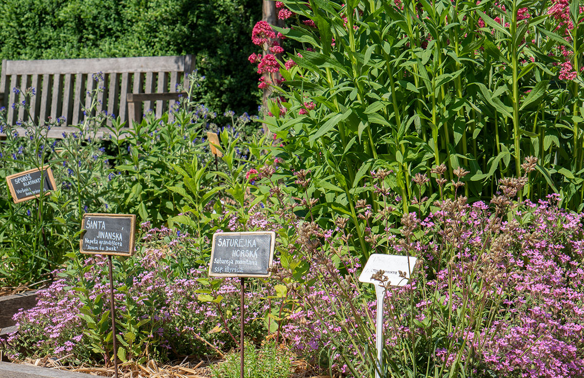 Parks-und-Gärten-in-Niederösterreich-und-Südmähren-stuhl-im-garten-kräutergarten-lu-und-tiree-chmelar-kräuter