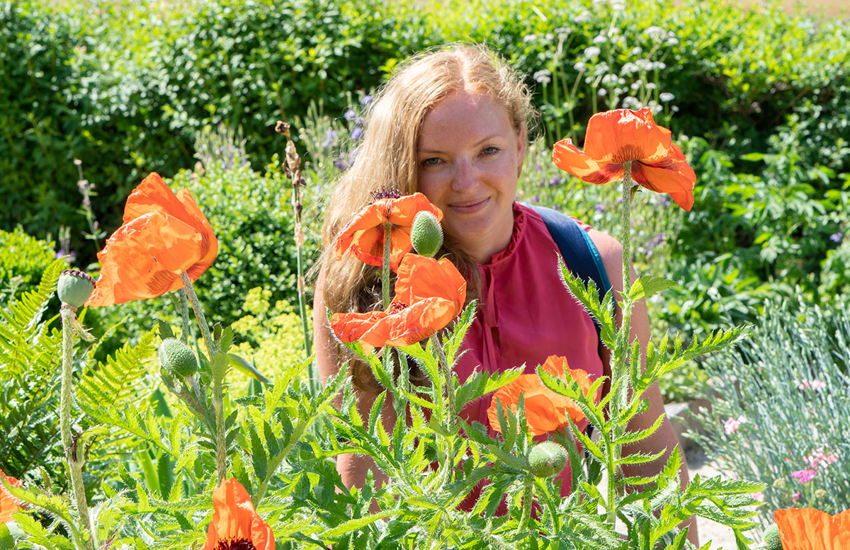 Parks-und-Gärten-in-Niederösterreich-und-Südmähren-stuhl-im-garten-kräutergarten-lu-und-tiree-chmelar-vicky-mohnblumen