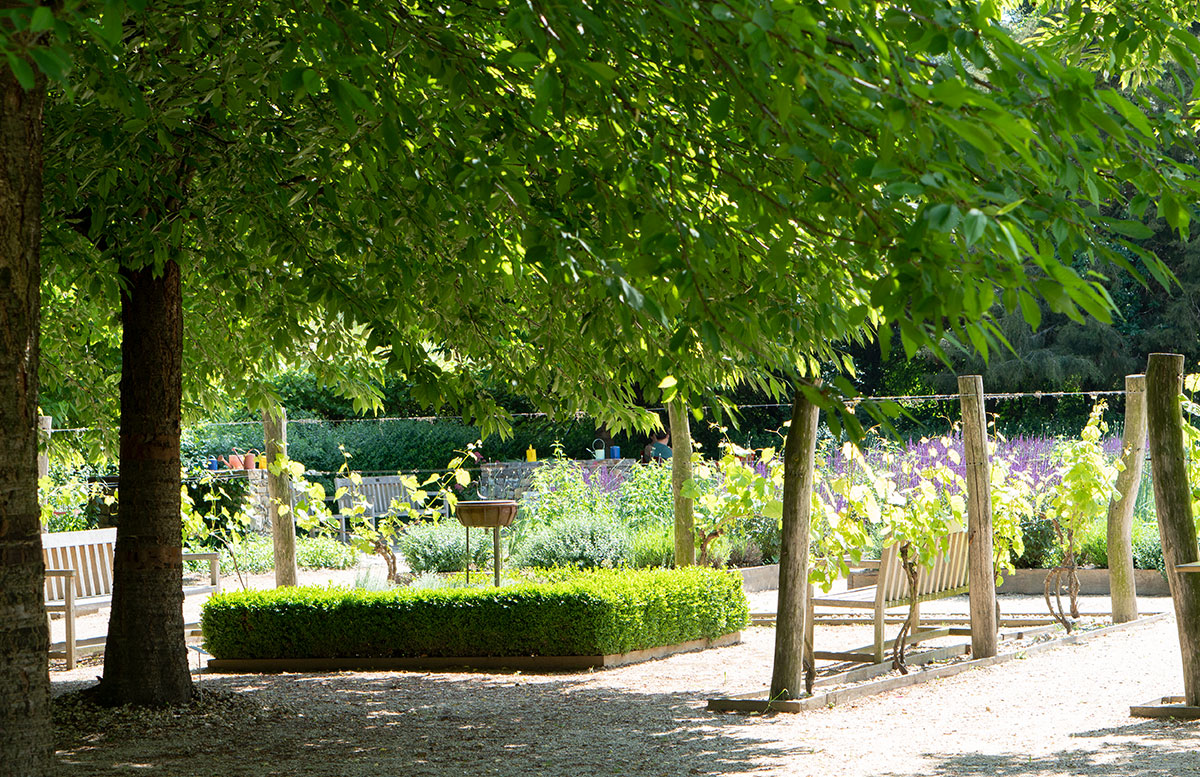 Parks-und-Gärten-in-Niederösterreich-und-Südmähren-stuhl-im-garten-kräutergarten-lu-und-tiree-chmelar