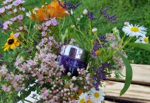 Picknick am Cobenzl mit Louis Widmer