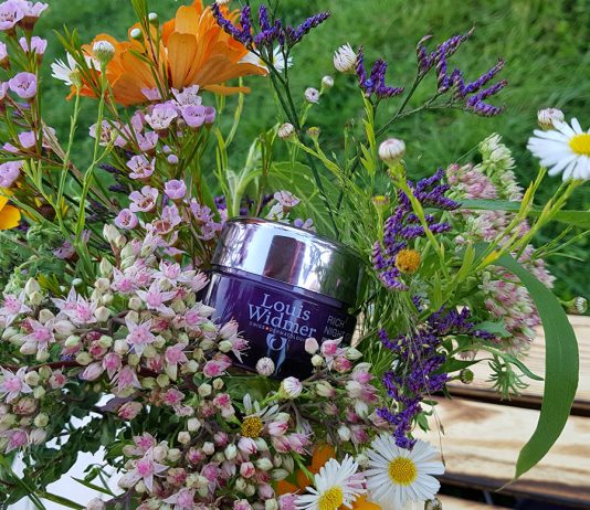 Picknick am Cobenzl mit Louis Widmer