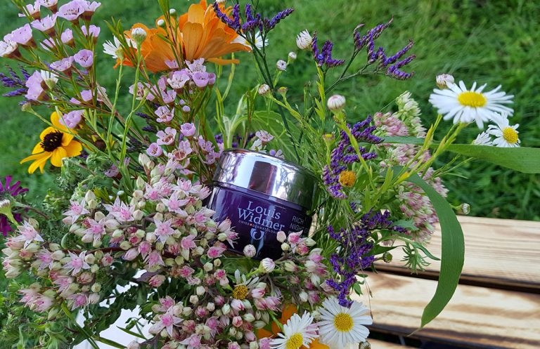 Picknick am Cobenzl mit Louis Widmer