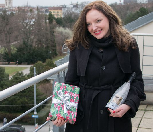 Rückblick 2017 und Vorsätze für das neue Jahr