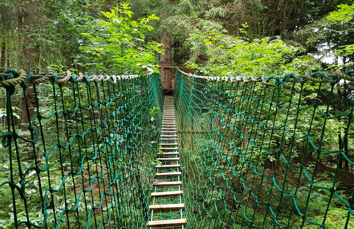 Sommerrodeln in Fuschl und der Waldkletterweg in Faistenau klettern kletterweg hängebrücke