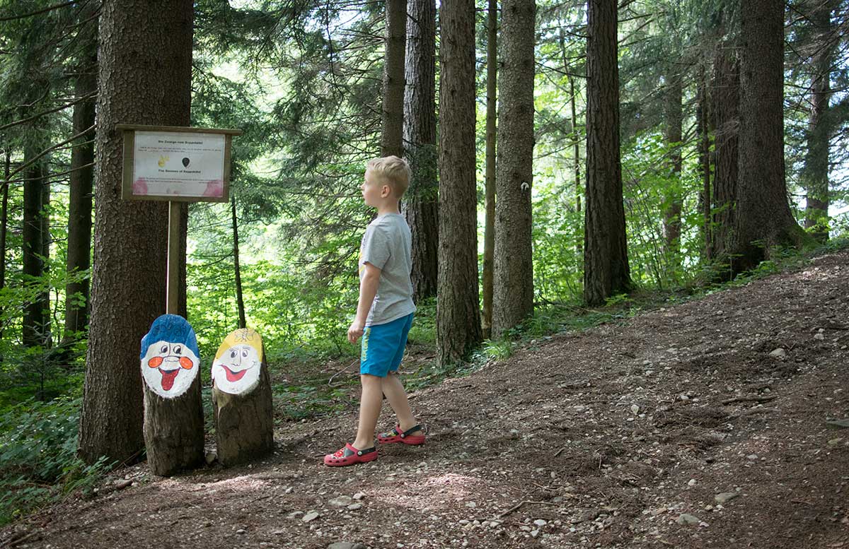 Sommerrodeln-in-Fuschl-und-der-Waldkletterweg-in-Faistenau-rumingmühle-wanderung