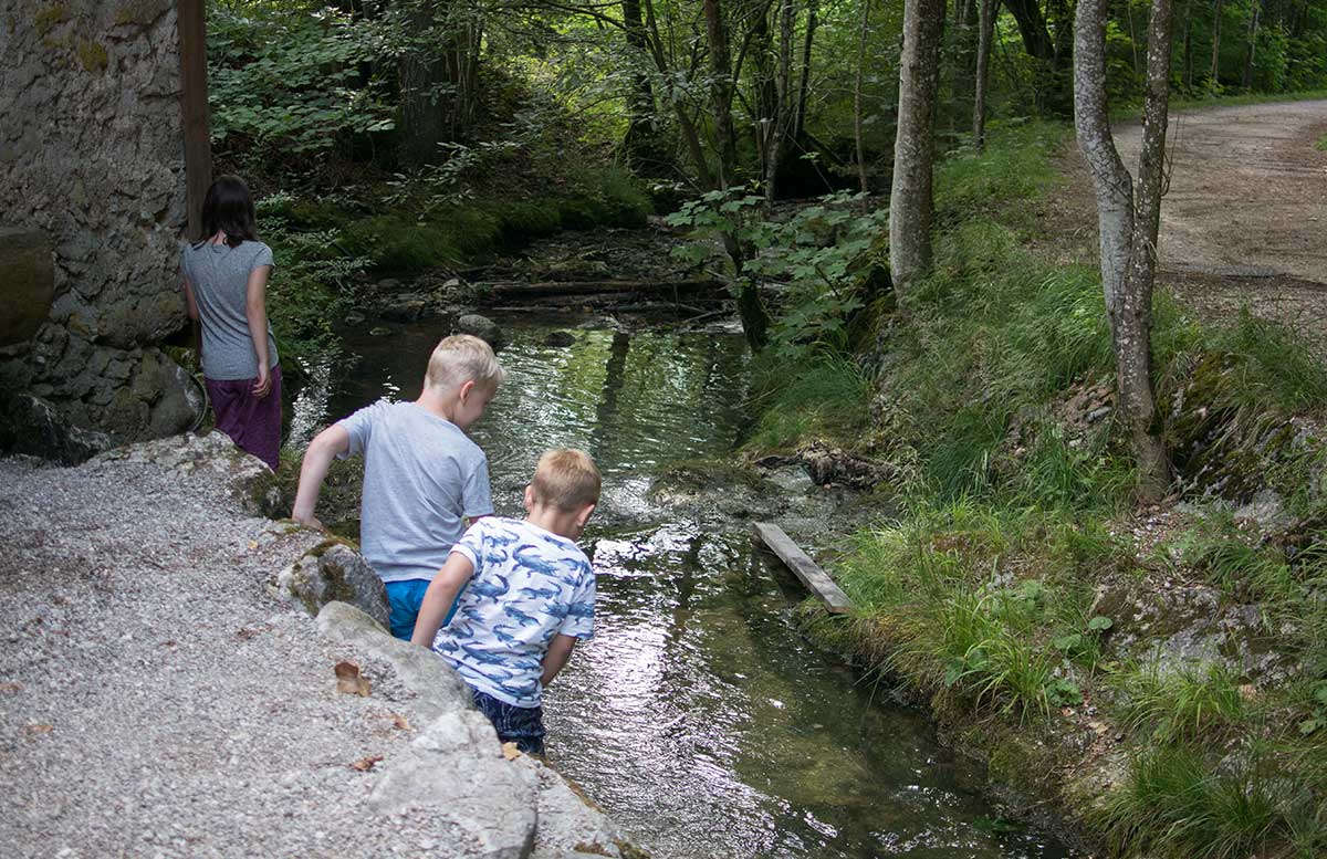 Sommerrodeln-in-Fuschl-und-der-Waldkletterweg-in-Faistenau-rumingmühle-bach spielen