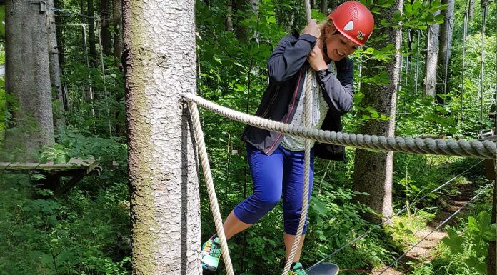 Sommerrodeln in Fuschl und der Waldkletterweg in Faistenau