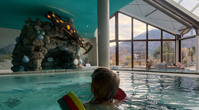 Spaß, Sport und Erholung im Ebners Waldhof am See Spaß,-Sport-und-Erholung-im-Ebners-Waldhof-am-See-salamander