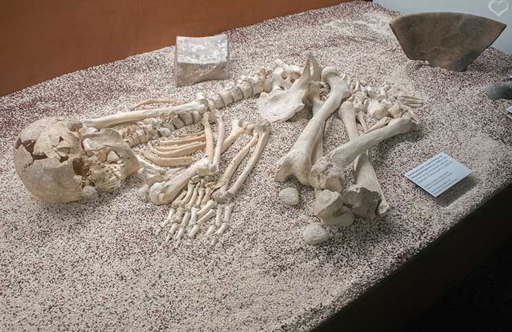 Stonehenge-Ausstellung-grabstätte-mamuz