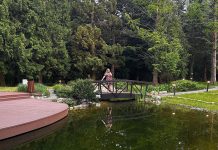 Waldbaden und Wellnessurlaub im Fagus Hotel Sopron Waldbaden-und-Wellnessurlaub-im-Fagus-Hotel-Sopron-vicky-auf-brücke