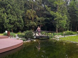 Waldbaden-und-Wellnessurlaub-im-Fagus-Hotel-Sopron-vicky-auf-brücke