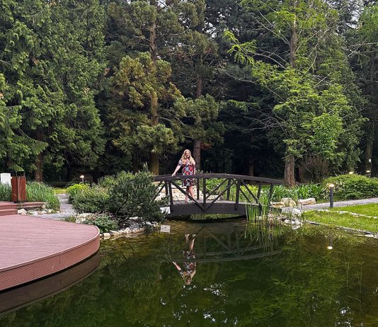 Waldbaden und Wellnessurlaub im Fagus Hotel Sopron Waldbaden-und-Wellnessurlaub-im-Fagus-Hotel-Sopron-vicky-auf-brücke