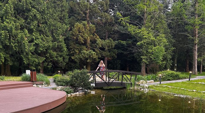 Waldbaden und Wellnessurlaub im Fagus Hotel Sopron Waldbaden-und-Wellnessurlaub-im-Fagus-Hotel-Sopron-vicky-auf-brücke