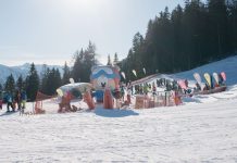Wanderung zur Sattelbergalm und zum Haubenlokal Pumafalle Wanderung-zur-Sattelbergalm-und-zum-Haubenlokal-Pumafalle-bergeralm-kinderskikurse