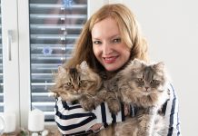 Weihnachtsgrüße und ein Rückblick auf 2018