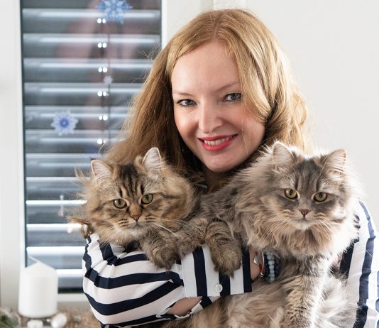 Weihnachtsgrüße und ein Rückblick auf 2018