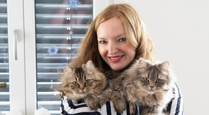 Weihnachtsgrüße und ein Rückblick auf 2018