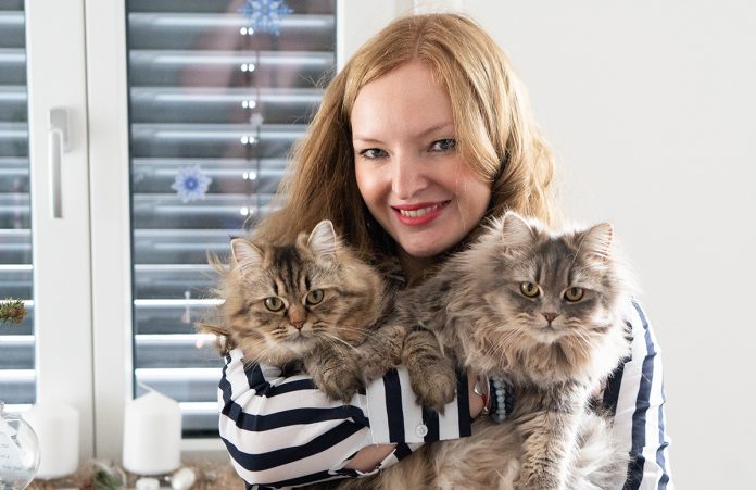 Weihnachtsgrüße und ein Rückblick auf 2018