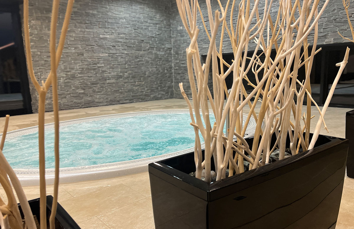 Wellness-Hotel-Vista-in-Dolni-Morava-whirlpool