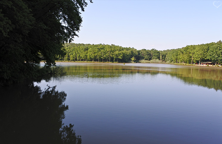 bukovnisko-lake