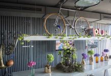 Die Kultbrille NEW CHAMPION von CARRERA