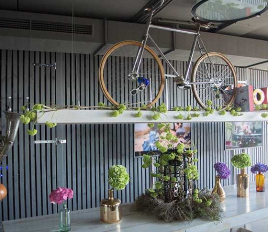 Die Kultbrille NEW CHAMPION von CARRERA