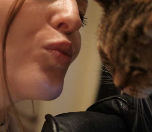 Die Liebe zur Katze die-liebe-zur-Katze-Kuss-an-die-Mieze