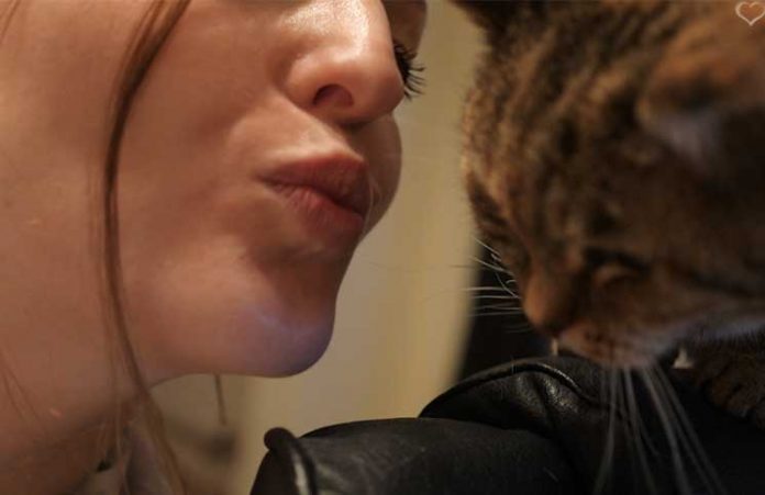 Die Liebe zur Katze die-liebe-zur-Katze-Kuss-an-die-Mieze