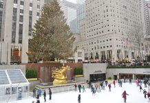 One World Trade Center und Liberty Island