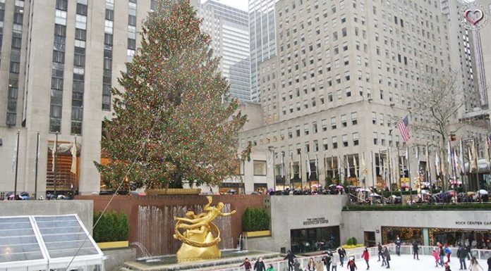 One World Trade Center und Liberty Island