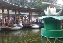 Familypark Neusiedlersee familypark-enten