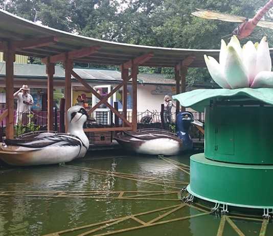 Familypark Neusiedlersee familypark-enten