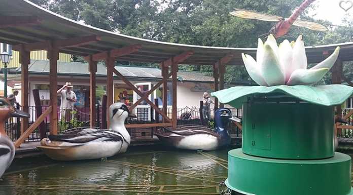 Familypark Neusiedlersee familypark-enten