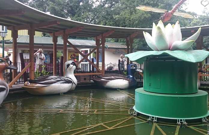 familypark-enten familypark-enten