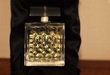 Guido Maria Kretschmer for Men