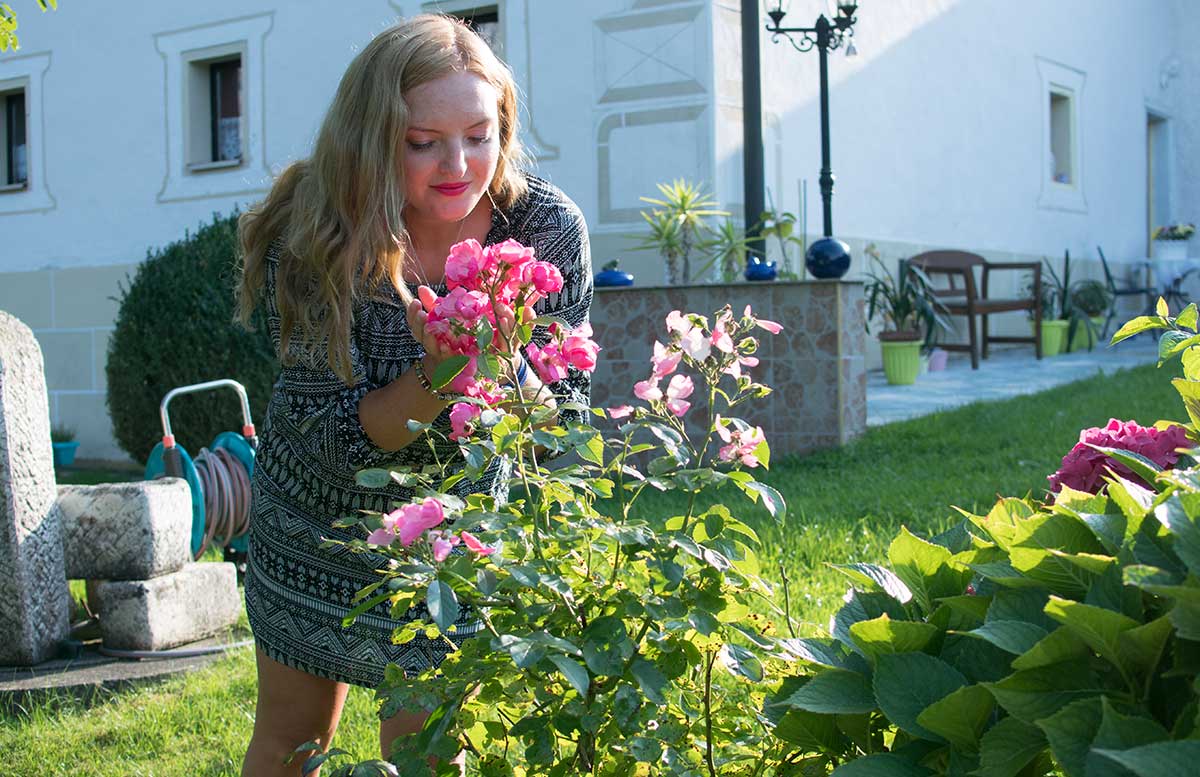 Hallo Herbst - Gedanken zum Leben als Blogger an rosen riechen
