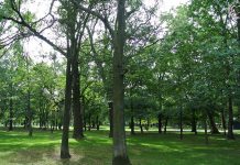 es wird Zeit für ein neues Herbst Outfit