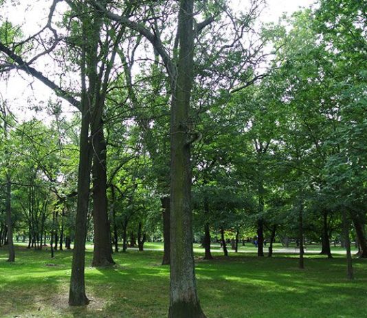 es wird Zeit für ein neues Herbst Outfit