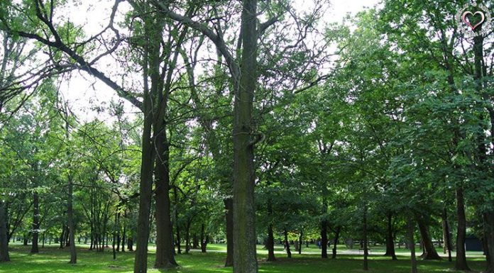 es wird Zeit für ein neues Herbst Outfit