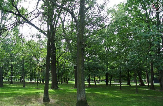 es wird Zeit für ein neues Herbst Outfit