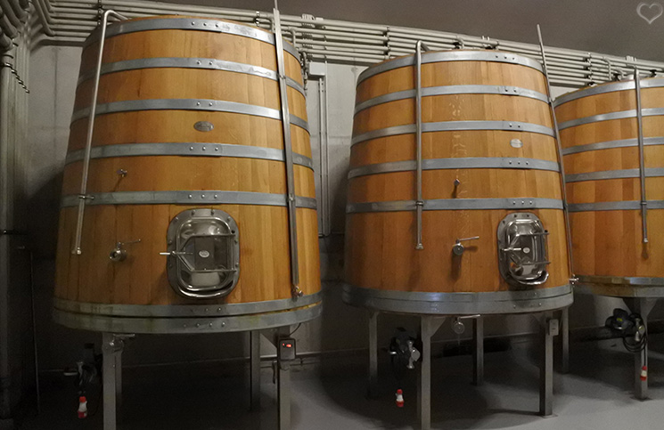holzfässer-wein