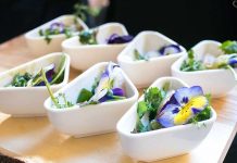 Kikkoman Teriyaki Lunch im Winisan kikkoman-teriyaki-lunch-vorspeise-hot-sashimi