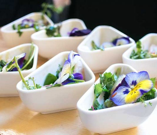 Kikkoman Teriyaki Lunch im Winisan kikkoman-teriyaki-lunch-vorspeise-hot-sashimi