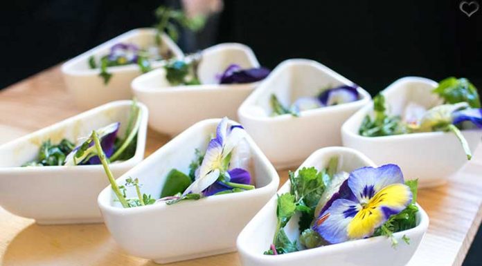 Kikkoman Teriyaki Lunch im Winisan kikkoman-teriyaki-lunch-vorspeise-hot-sashimi