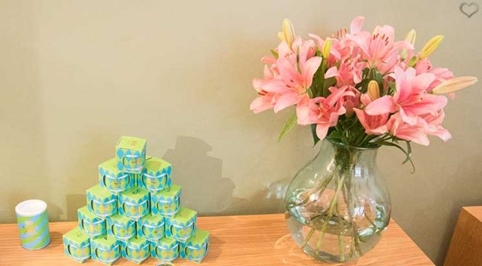 Matcha Tee von Kissa