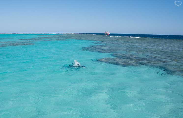 korallenriffe-Kitesurfen-in-Ägypten