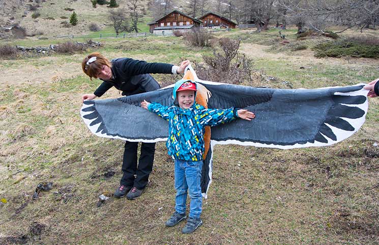 lenny-als-geier-nationalpark-hohe-tauern