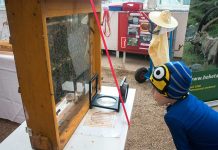 Milka Event im Burggarten – Lila liebt Grün